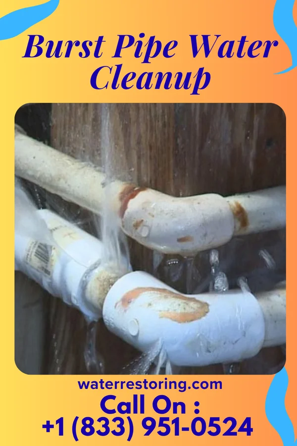 Burst Pipe Water Cleanup in Trenton, SC