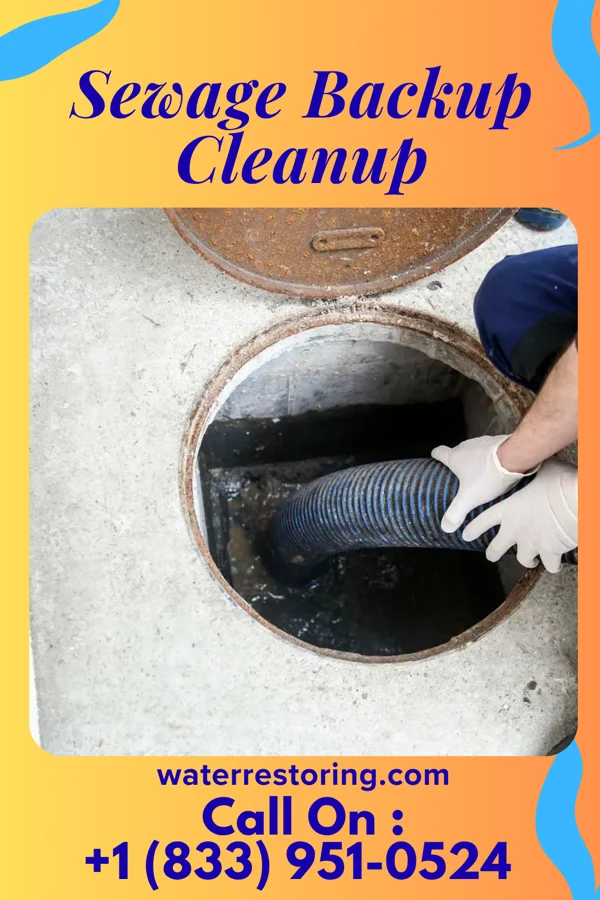 Sewage Backup Cleanup in Trenton, SC
