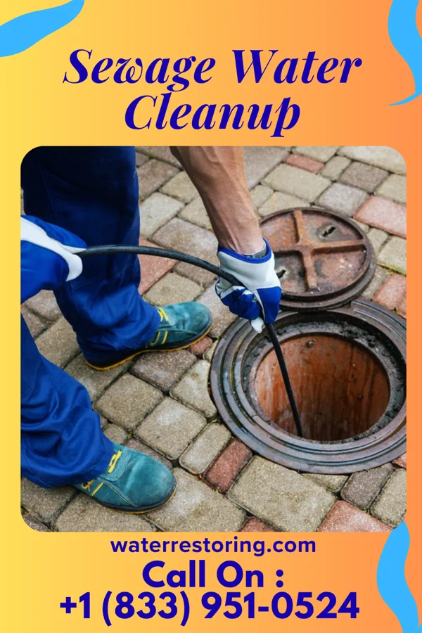 Sewage Water Cleanup in Trenton, SC